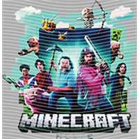 Minecraft-MN 55